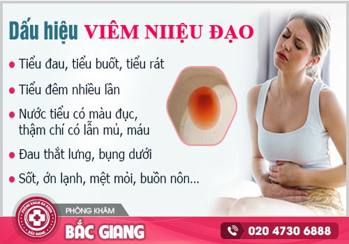 Viêm niệu đạo là gì? Nguyên nhân, dấu hiệu, cách chữa