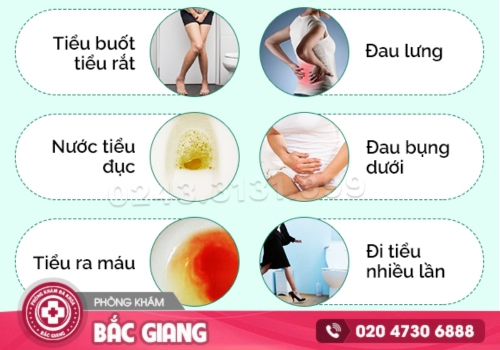tiểu buốt tiểu rắt ở nữ