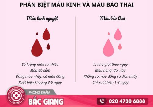 Máu báo thai có màu gì?
