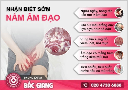 nấm candida