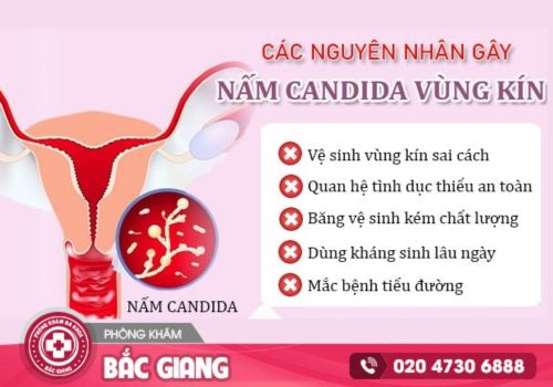nấm candida
