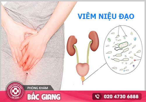 Viêm niệu đạo là gì? Nguyên nhân, dấu hiệu, cách chữa